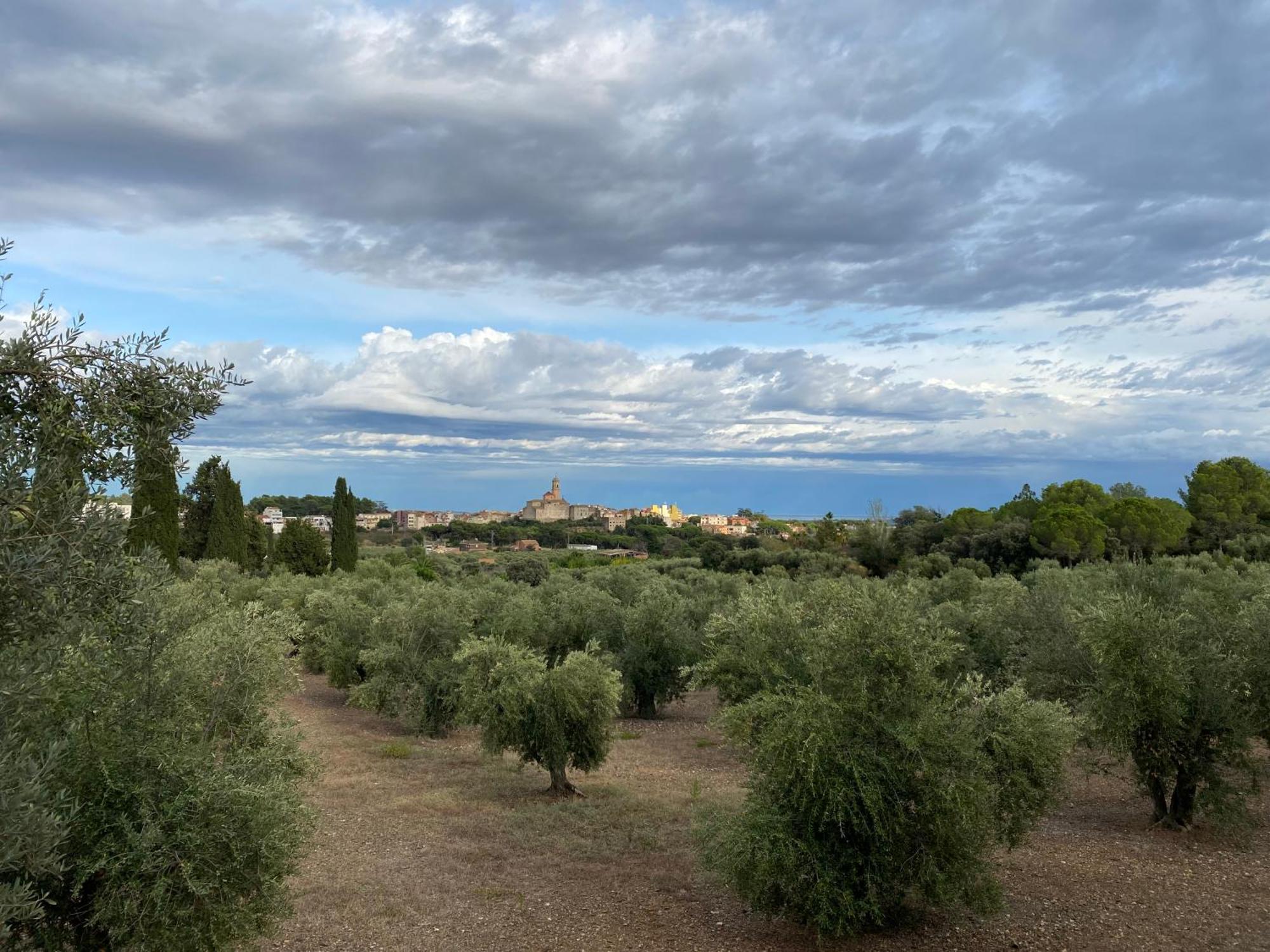 Lo Tros Villa Botarell Exterior photo