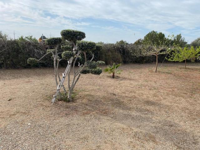 Lo Tros Villa Botarell Exterior photo